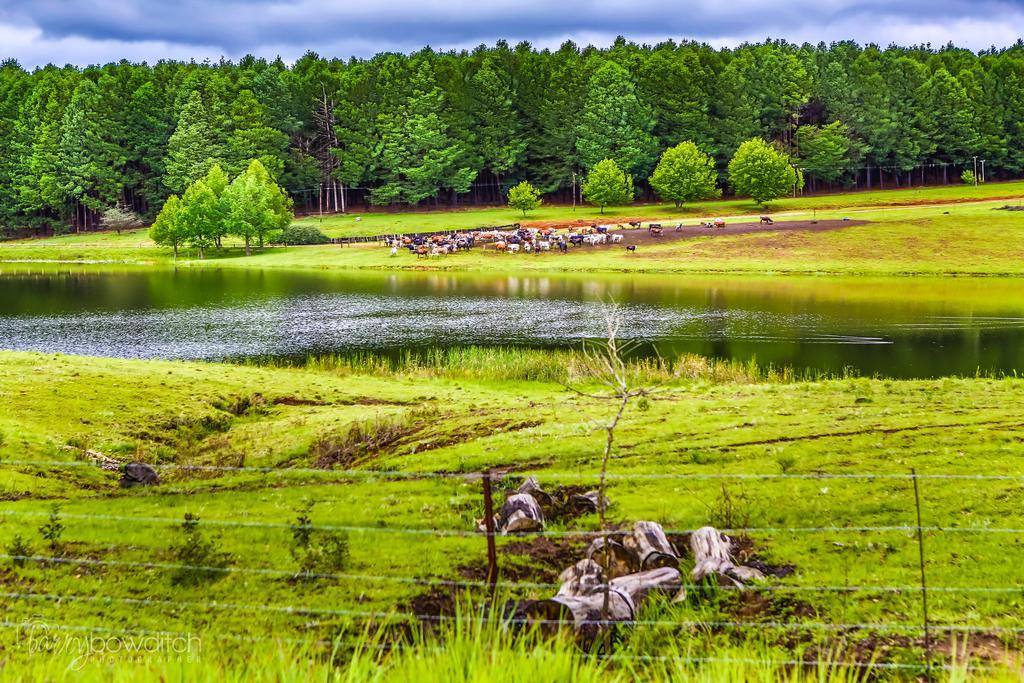 Umzimkulu River Lodge Underberg Kültér fotó