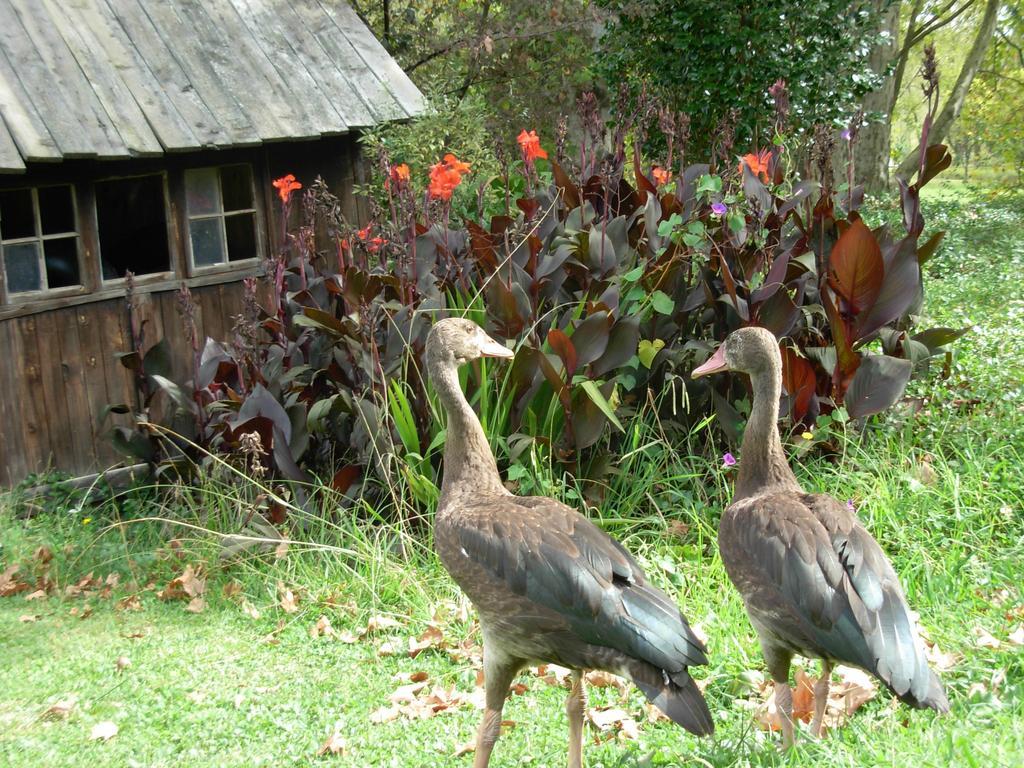 Umzimkulu River Lodge Underberg Kültér fotó